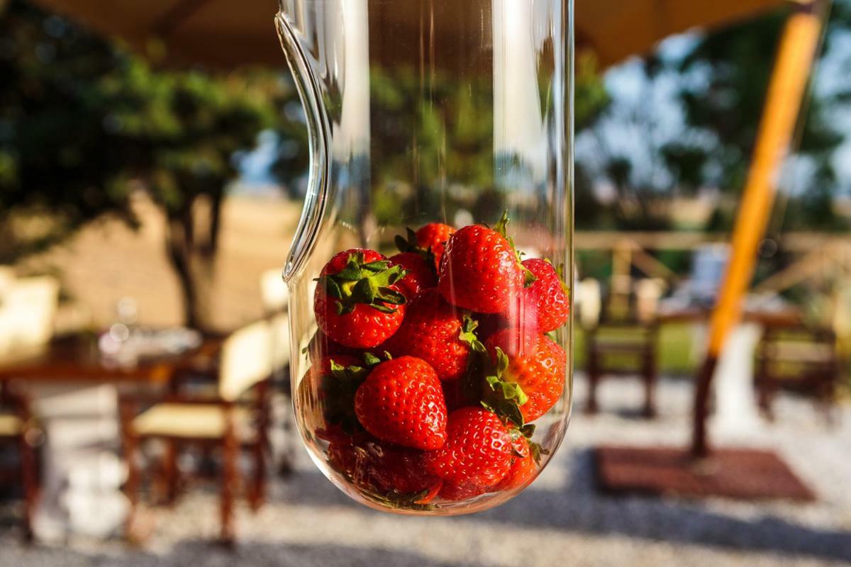 Il Montelletto Bed & Breakfast Santa Luce Exterior photo